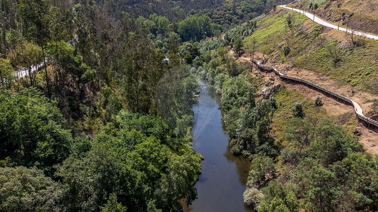Terreno para Venda em Covelo de Paivó e Janarde Foto 4