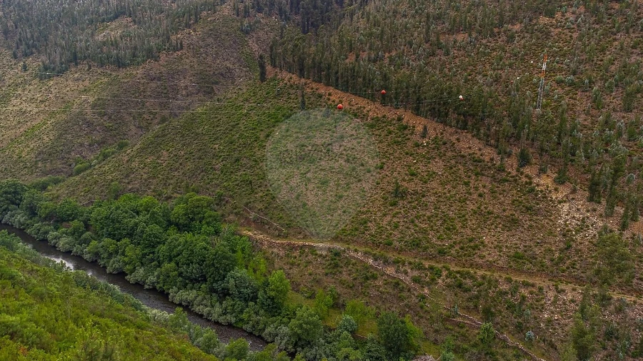Terreno para Venda em Covelo de Paivó e Janarde