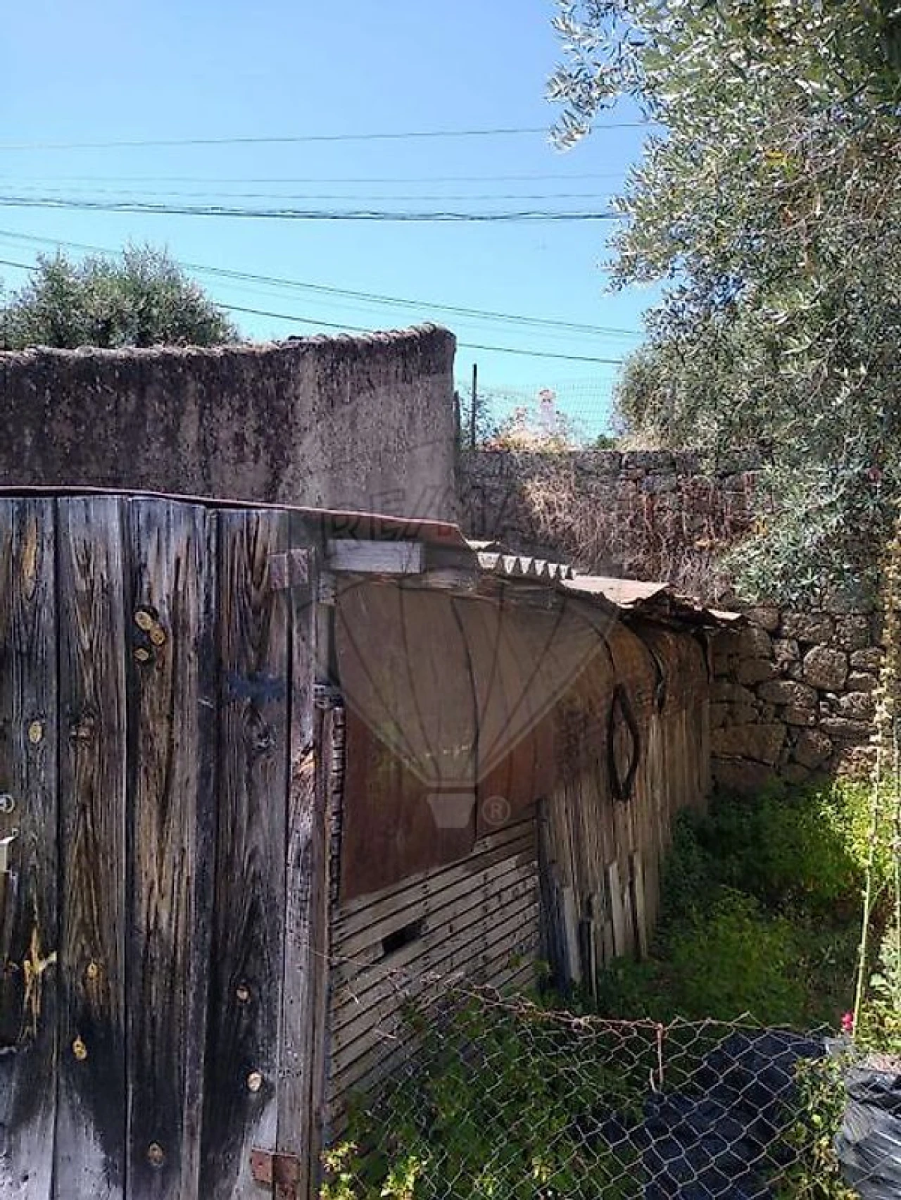 Armazém para Venda em Lajeosa do Mondego Foto 8