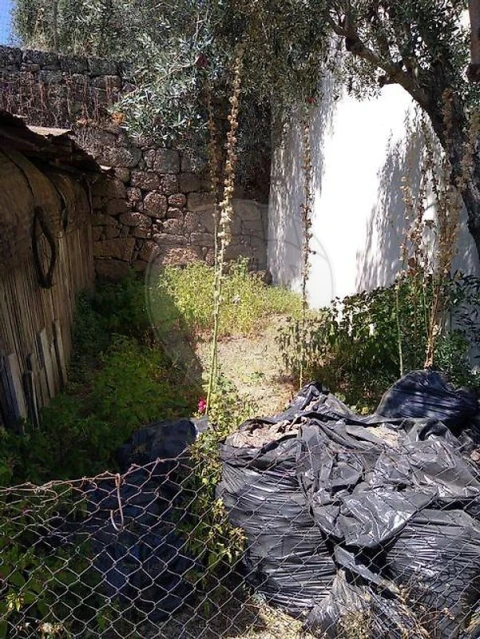 Armazém para Venda em Lajeosa do Mondego