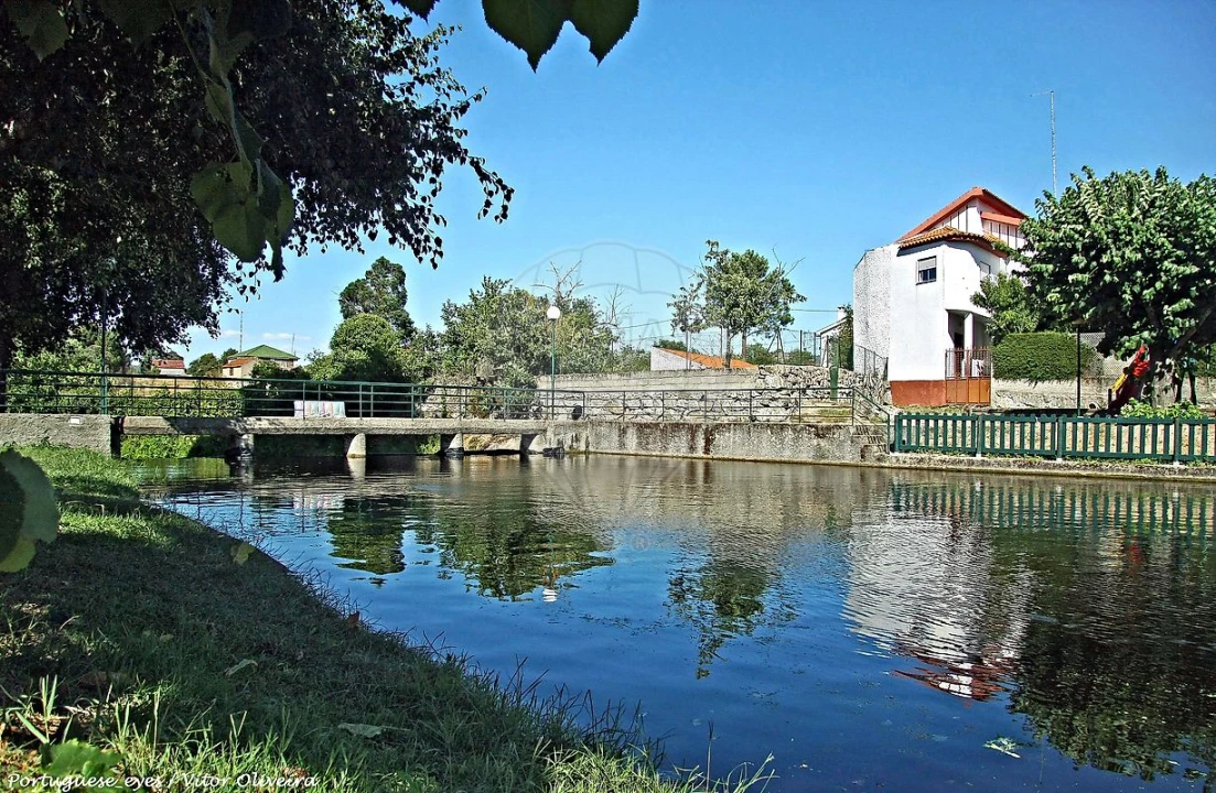 Armazém para Venda em Lajeosa do Mondego Foto 1