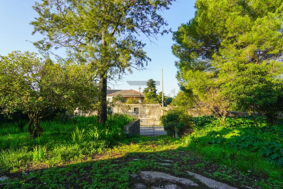 Terreno para Venda em Lumiar Foto 25