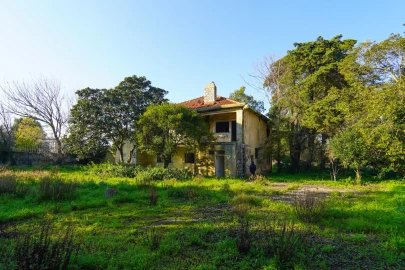Terreno para Venda em Lumiar
