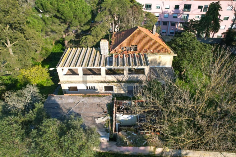 Terreno para Venda em Lumiar Foto 11