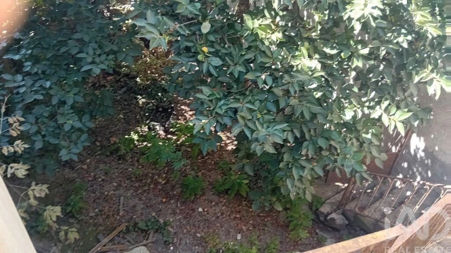 Moradia T2 para Venda em Castelo Branco Foto 28