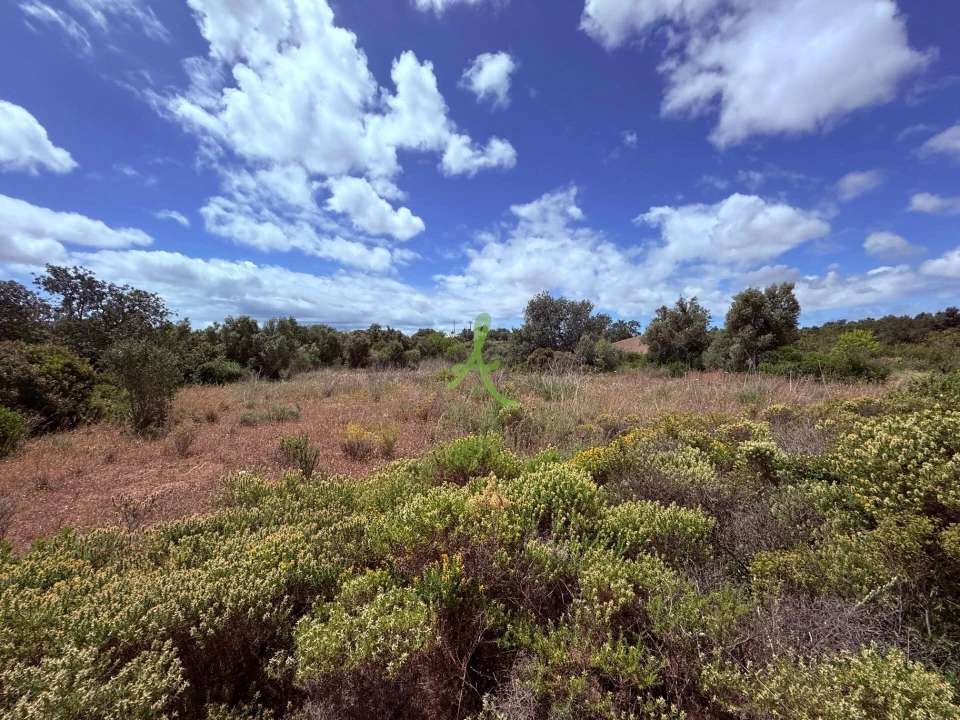 Terreno para Venda em Silves Foto 18