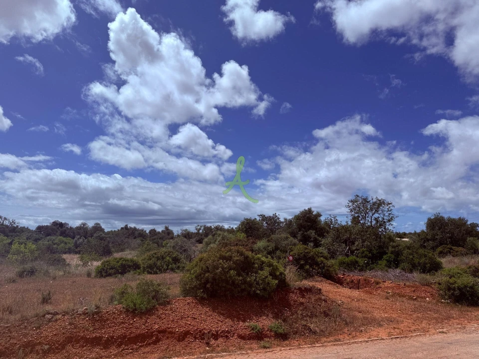 Terreno para Venda em Silves Foto 14