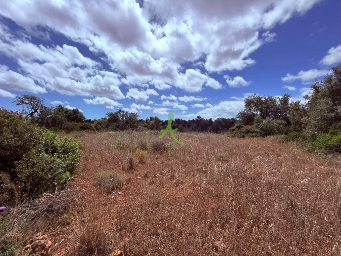 Terreno para Venda em Silves Foto 4