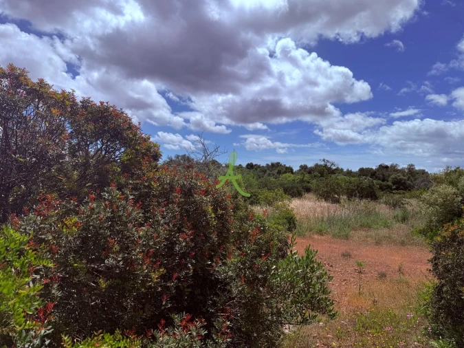 Terreno para Venda em Silves Foto 9