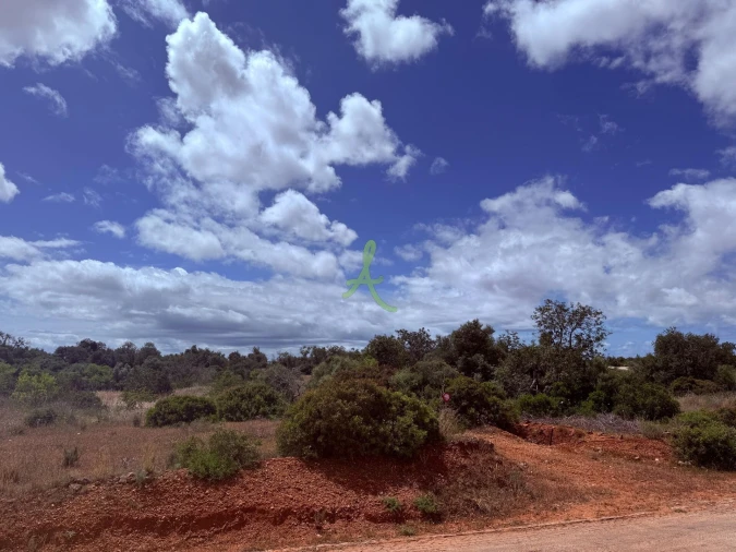 Terreno para Venda em Silves Foto 14