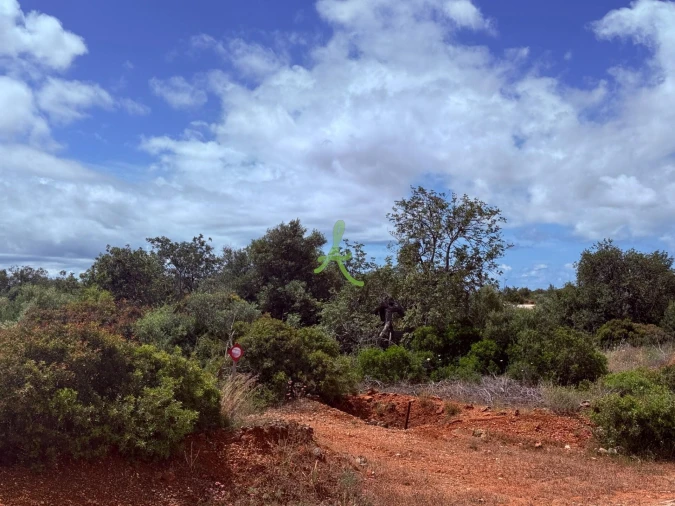 Terreno para Venda em Silves Foto 17