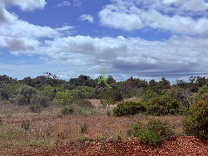 Terreno para Venda em Silves Foto 16