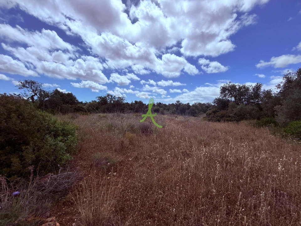 Terreno para Venda em Silves Foto 6