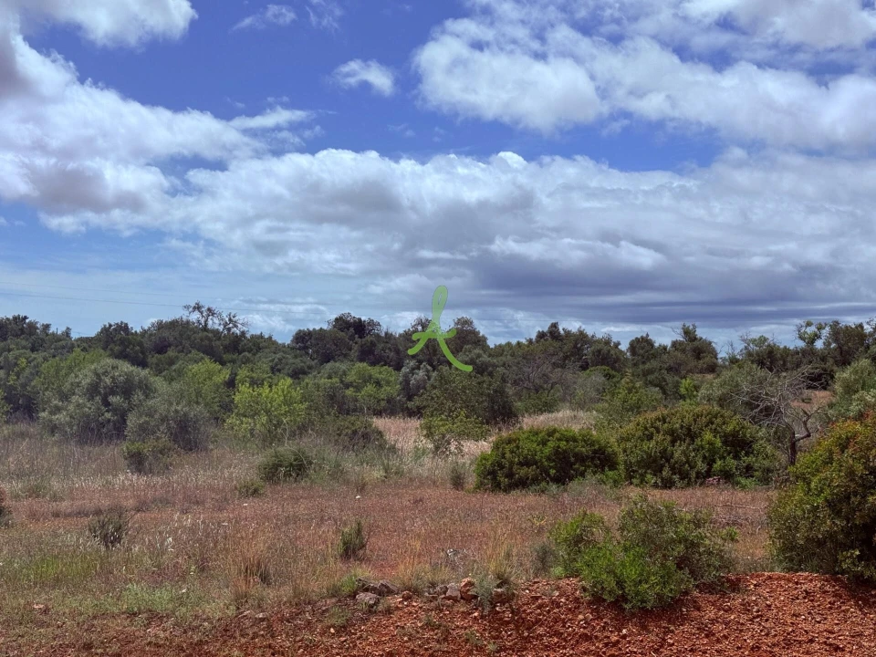 Terreno para Venda em Silves Foto 16