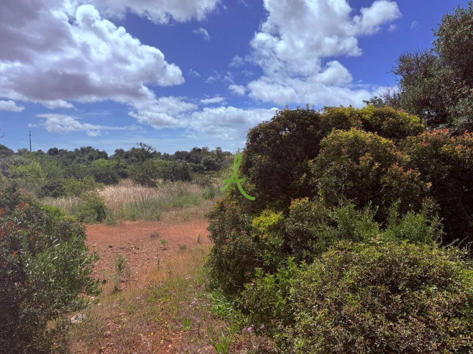 Terreno para Venda em Silves Foto 10