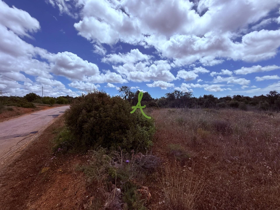 Terreno para Venda em Silves Foto 5
