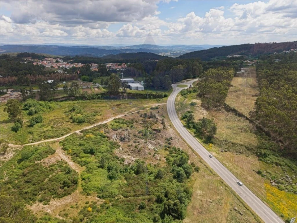 Terreno para Venda em Este (São Pedro e São Mamede) Foto 6