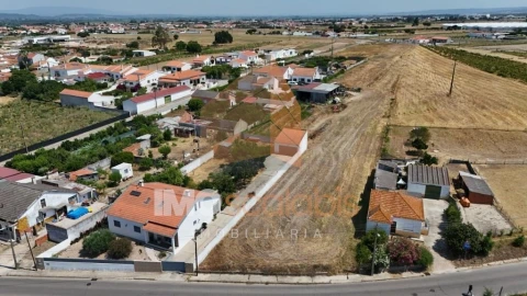 Terreno para Venda em Alpiarça