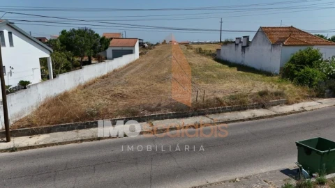 Terreno para Venda em Alpiarça