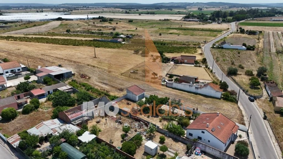 Terreno para Venda em Alpiarça Foto 6