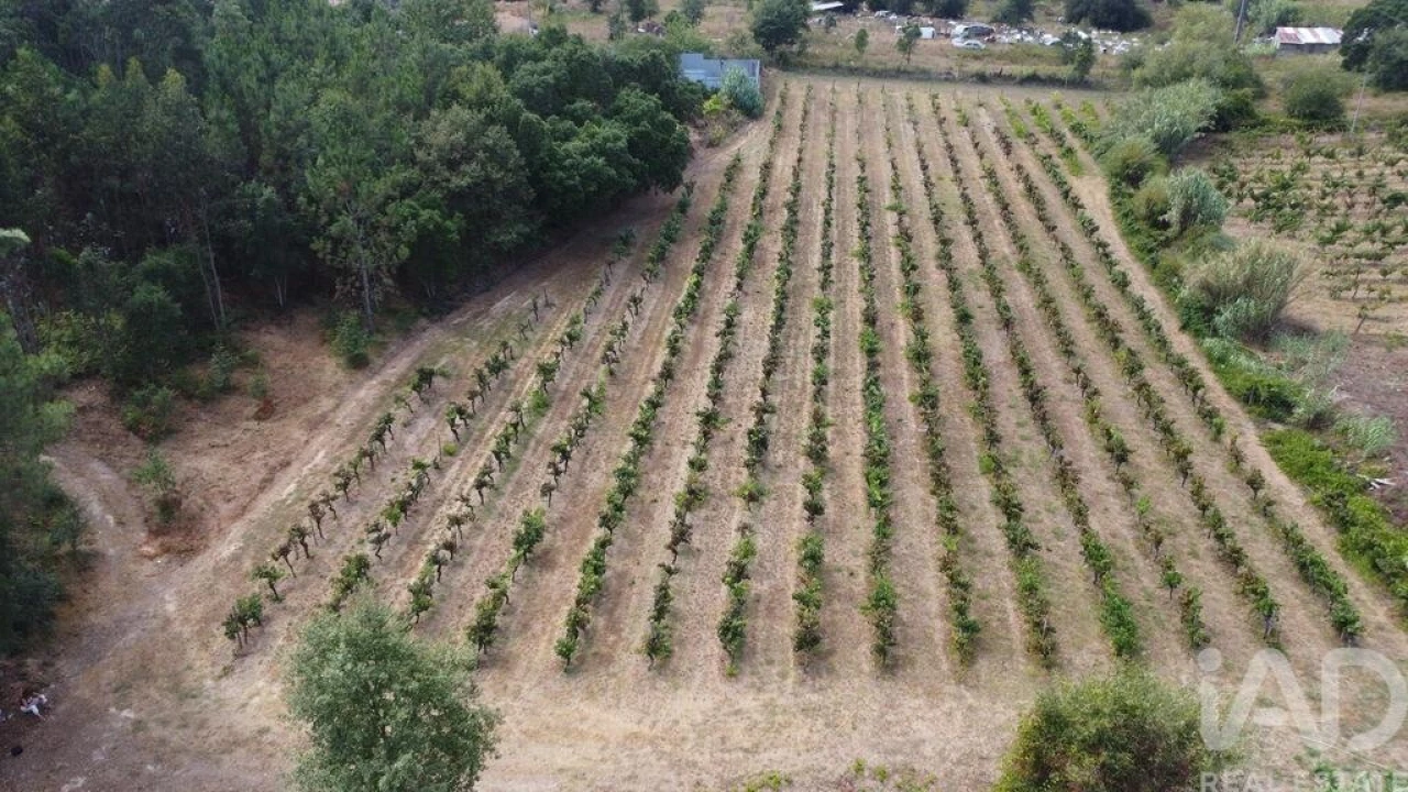 Terreno para Venda em Sangalhos Foto 12