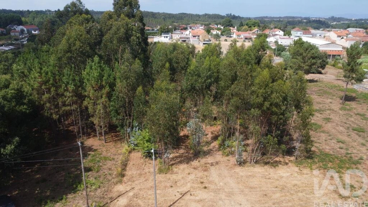 Terreno para Venda em Sangalhos Foto 2