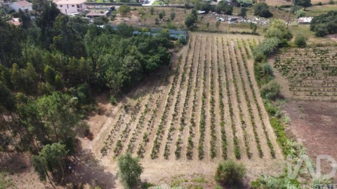 Terreno para Venda em Sangalhos