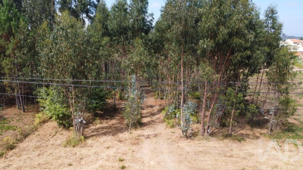 Terreno para Venda em Sangalhos Foto 7