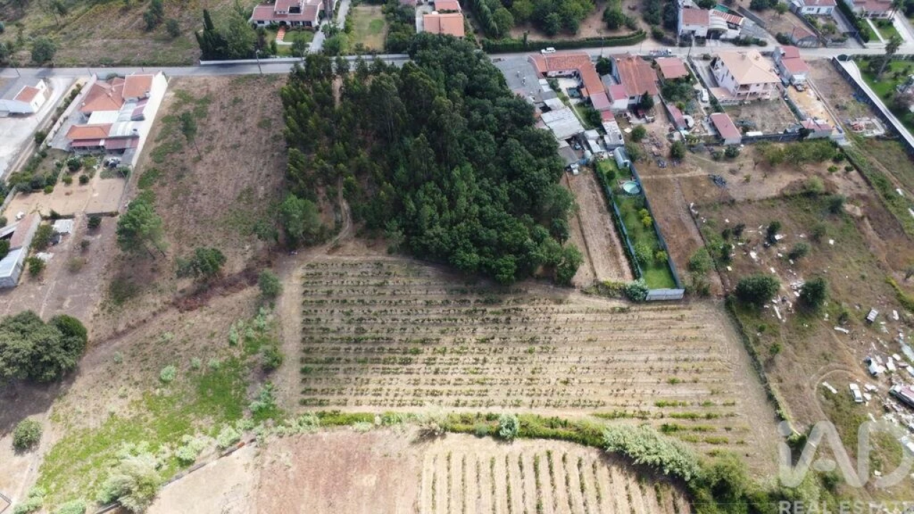 Terreno para Venda em Sangalhos Foto 9