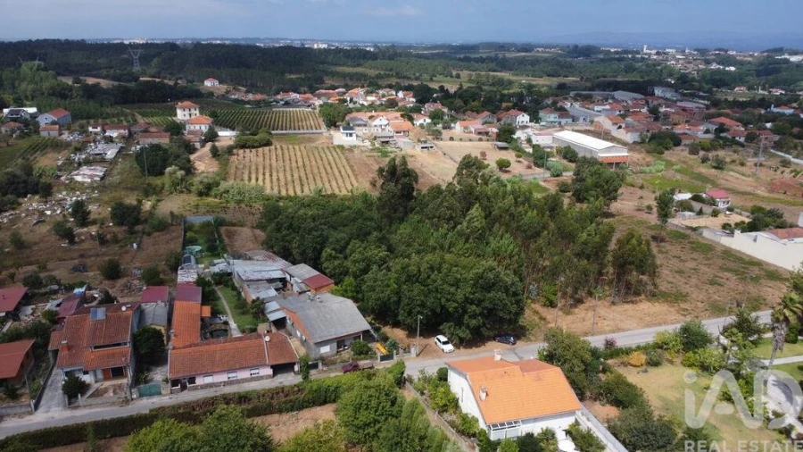 Terreno para Venda em Sangalhos Foto 3