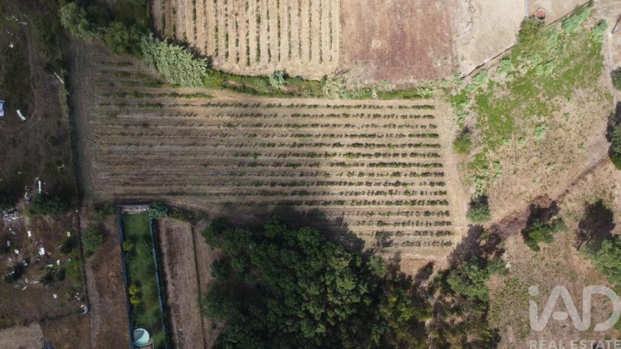 Terreno para Venda em Sangalhos Foto 10