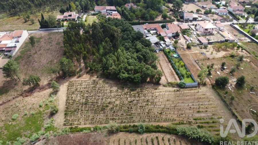 Terreno para Venda em Sangalhos Foto 8