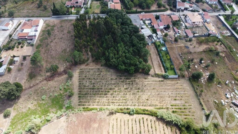Terreno para Venda em Sangalhos Foto 9