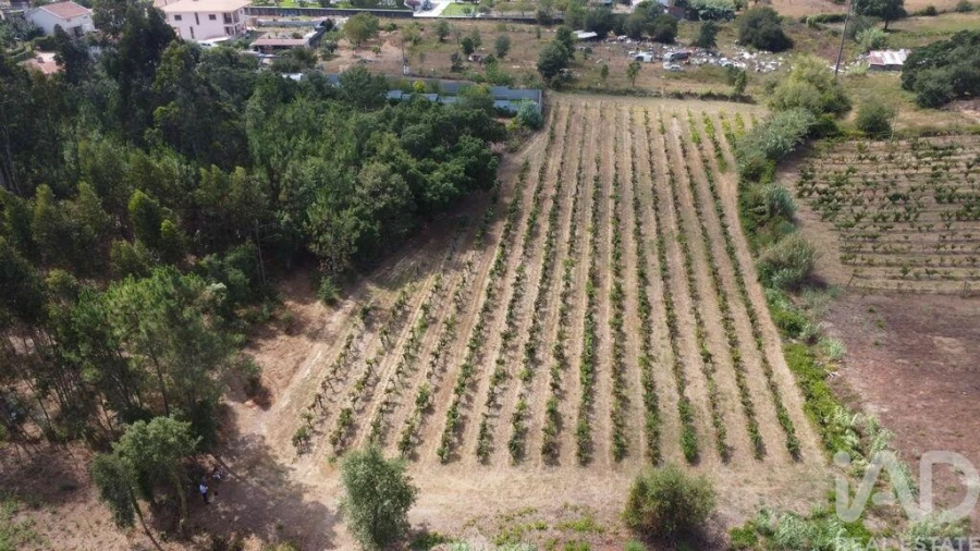 Terreno para Venda em Sangalhos Foto 11