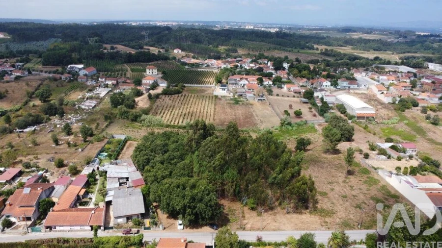 Terreno para Venda em Sangalhos Foto 4