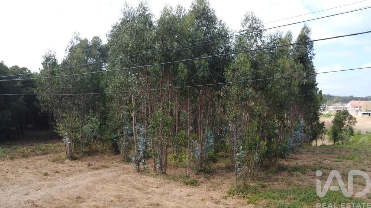 Terreno para Venda em Sangalhos Foto 6
