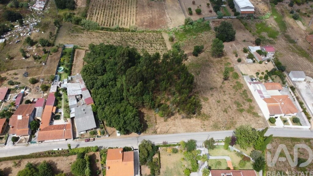 Terreno para Venda em Sangalhos Foto 5