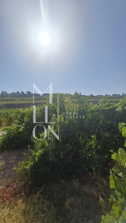 Terreno para Venda em Povolide
