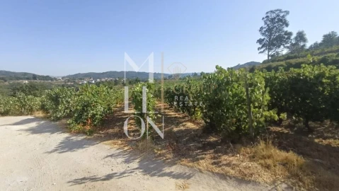 Terreno para Venda em Povolide