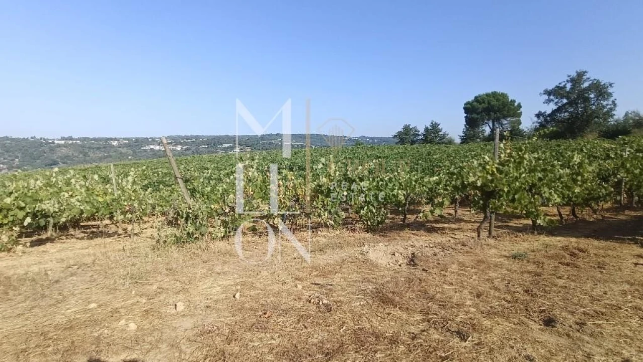 Terreno para Venda em Povolide Foto 5