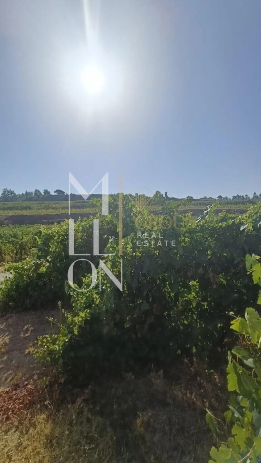 Terreno para Venda em Povolide Foto 4
