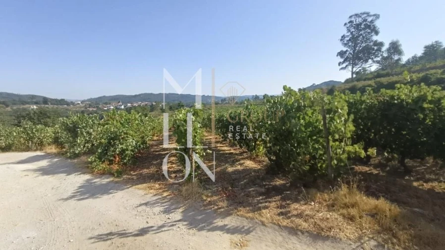 Terreno para Venda em Povolide Foto 10