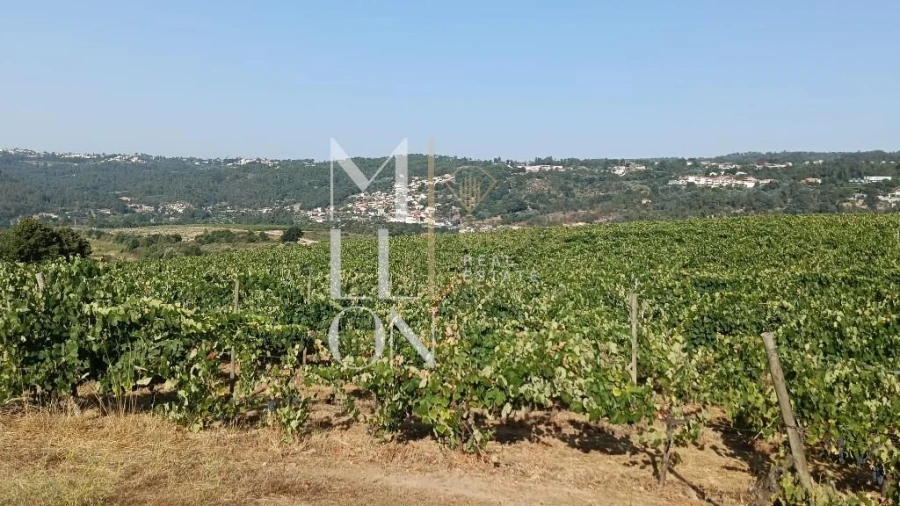 Terreno para Venda em Povolide Foto 6