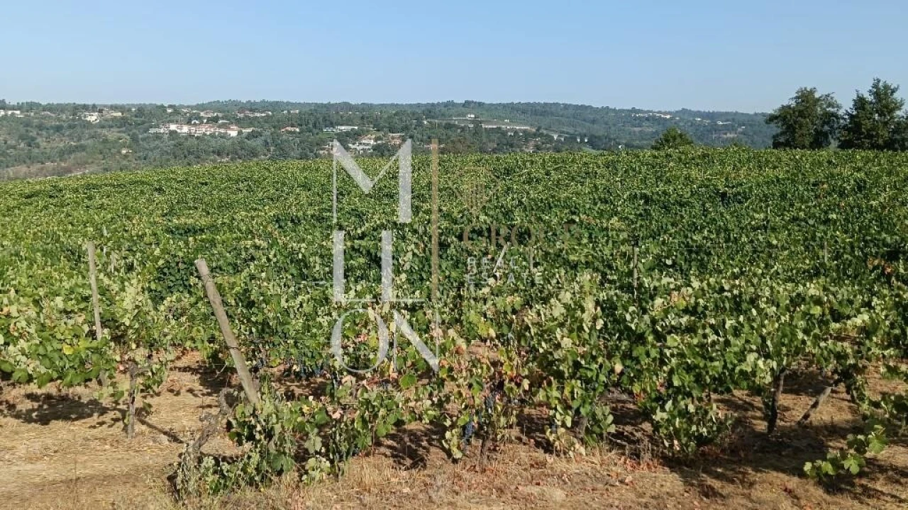 Terreno para Venda em Povolide Foto 11