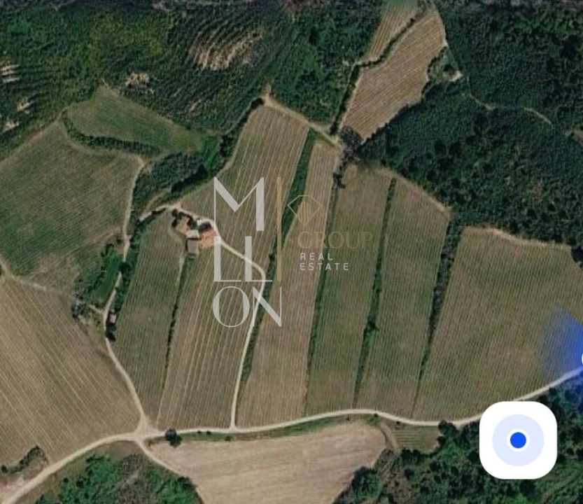 Terreno para Venda em Povolide Foto 13