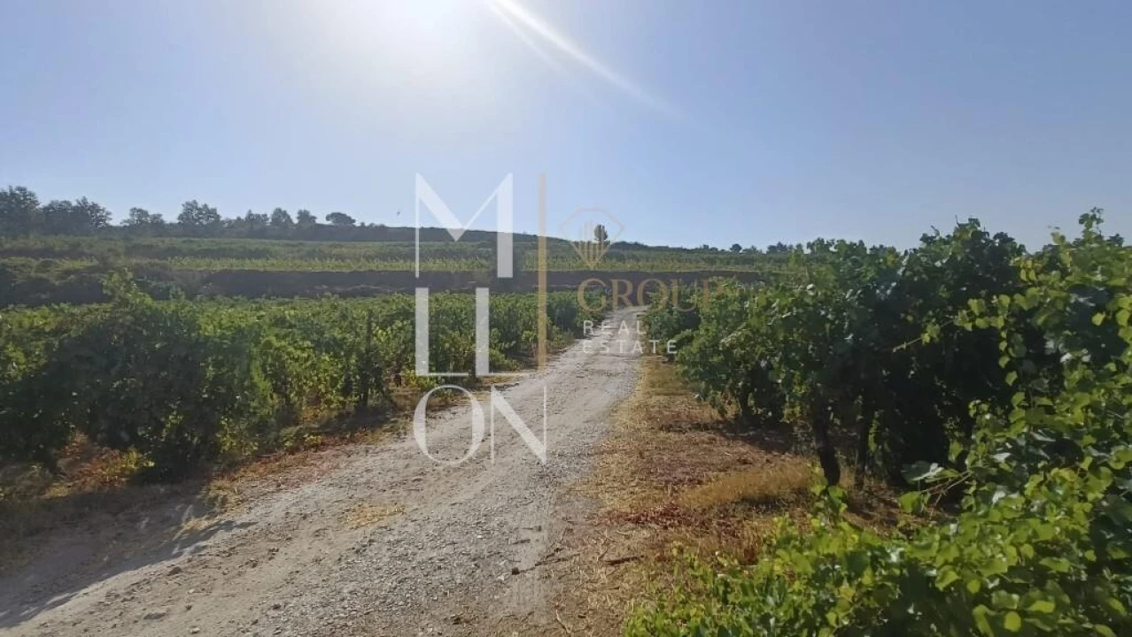 Terreno para Venda em Povolide Foto 8