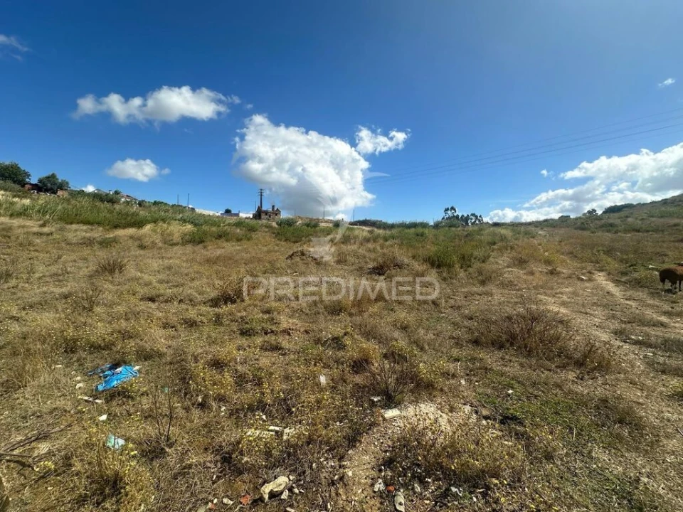 Terreno para Venda em Achete, Azoia de Baixo e Póvoa de Santarém Foto 5