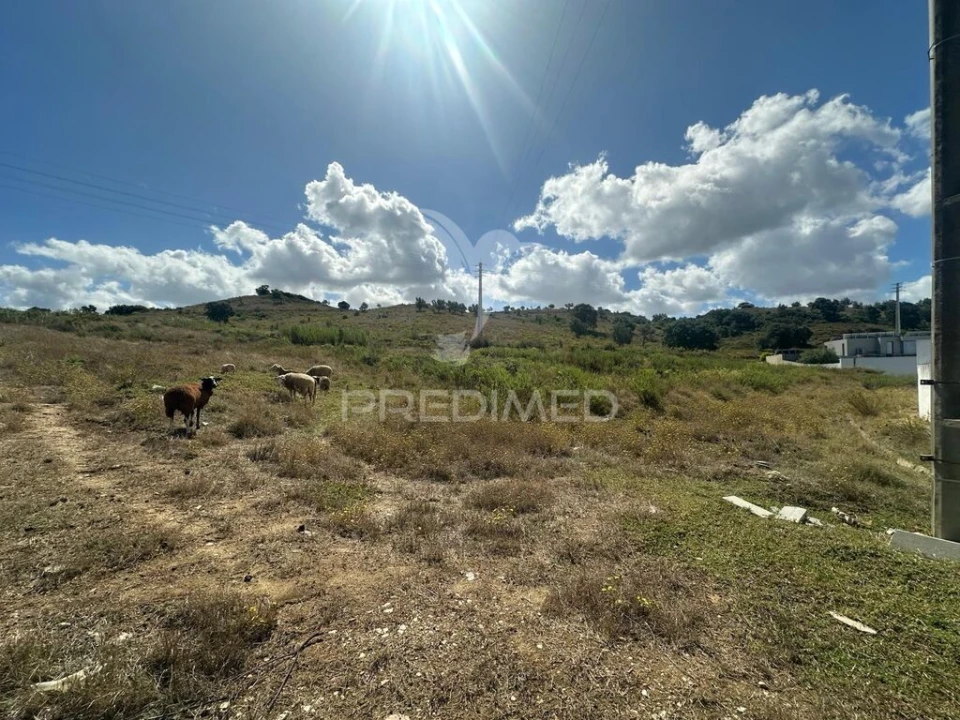 Terreno para Venda em Achete, Azoia de Baixo e Póvoa de Santarém Foto 8