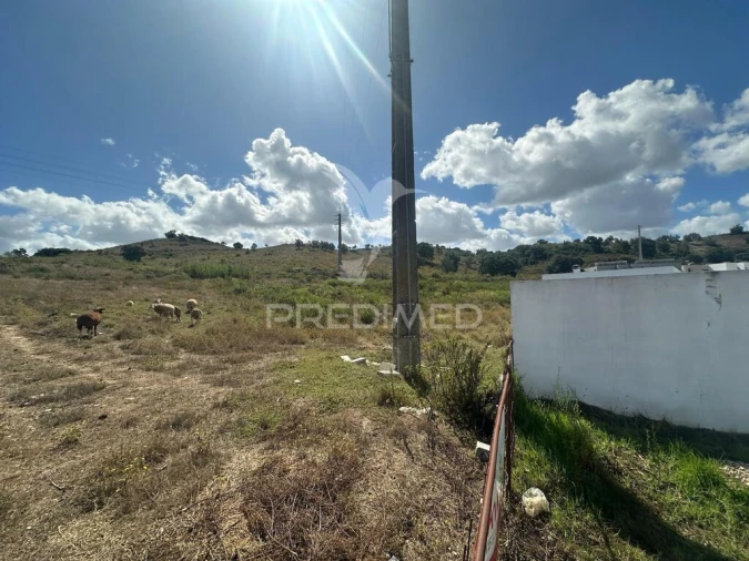 Terreno para Venda em Achete, Azoia de Baixo e Póvoa de Santarém Foto 3
