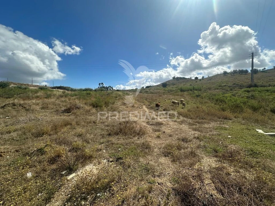 Terreno para Venda em Achete, Azoia de Baixo e Póvoa de Santarém Foto 4